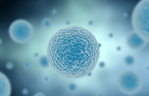 줄기세포 치료센터 이미지